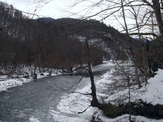 32531 (a): :1600x1200